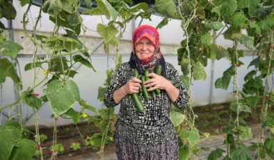 Şirin teyze ikinci serasına kavuşuyor