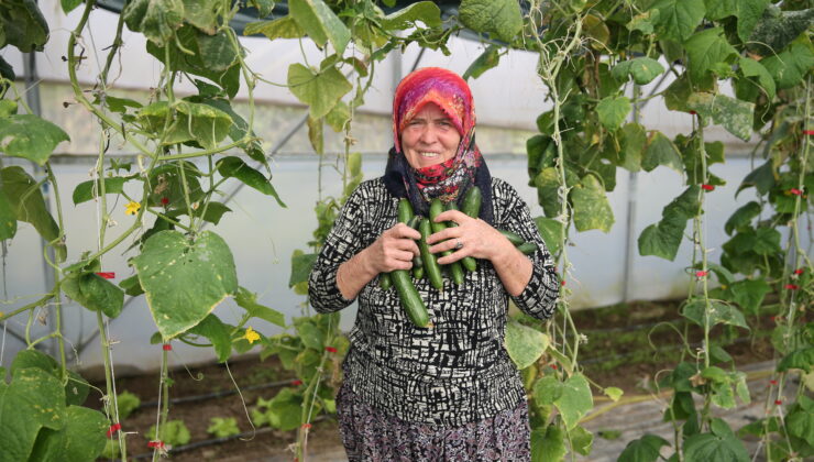 Şirin teyze ikinci serasına kavuşuyor