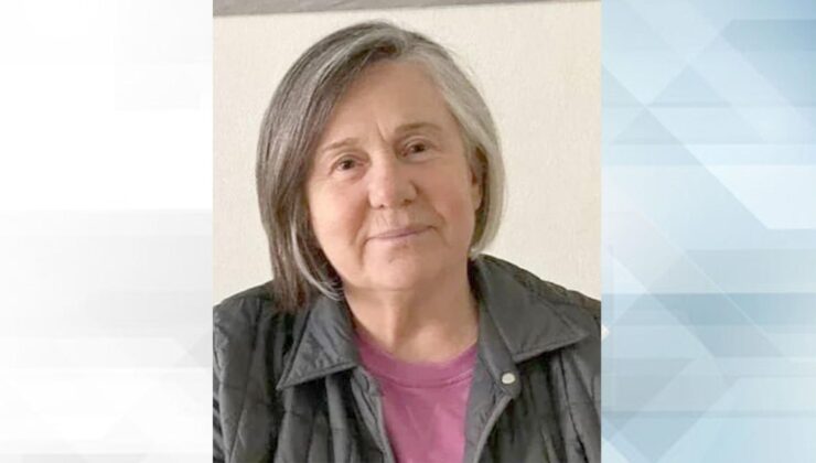 ‘Denetimler yetersiz’