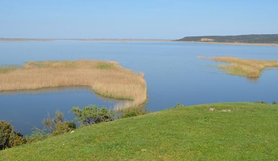 Gala Gölü’nde santral tehlikesi