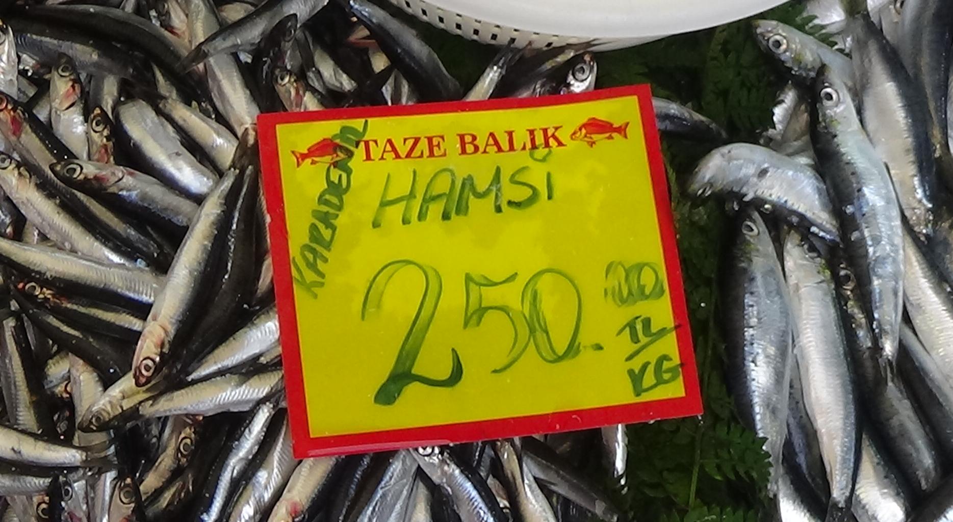 Hamsi severlere güzel haber