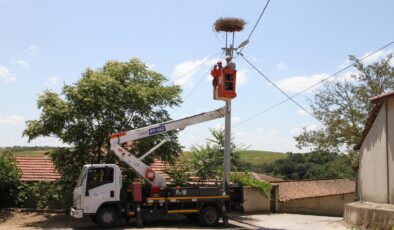 TREDAŞ leylekler için çalışıyor