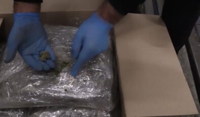 Yarım ton uyuşturucu ele geçirildi