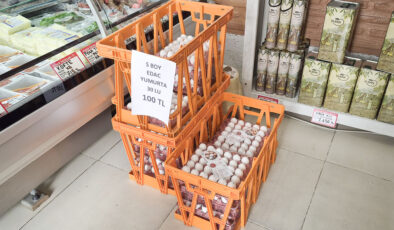 Edirnelilere yumurta müjdesi