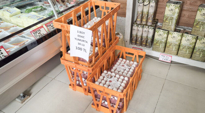 Edirnelilere yumurta müjdesi