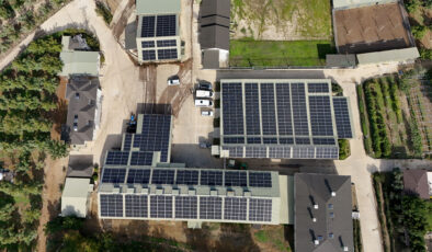 Cevizin elektriği güneşten