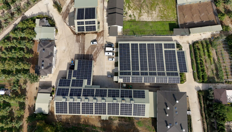 Cevizin elektriği güneşten