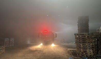 Palet fabrikasında yangın