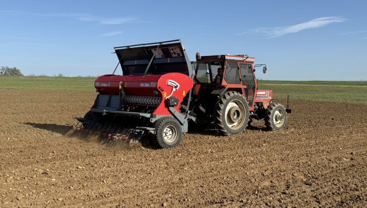 Kuraklığa karşı nohut ekildi