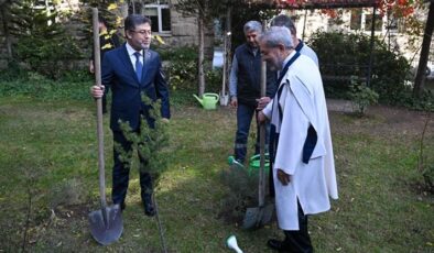 Ağaçlandırma seferberliği