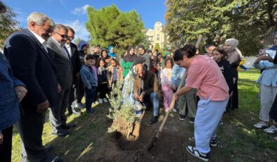 AGD’li öğrencilerden zeytin ağacı