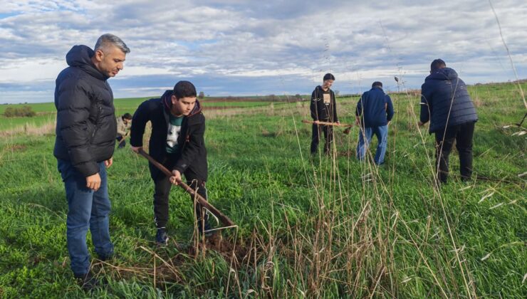 Kuran kursu öğrencileri fidan dikti