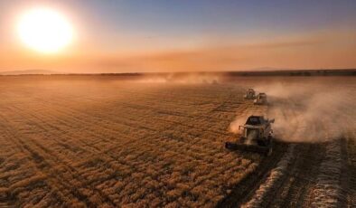 Çiftçilere destek ödemesi