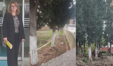 ‘Okul bahçesindeki ağaçlar kesilmesin’