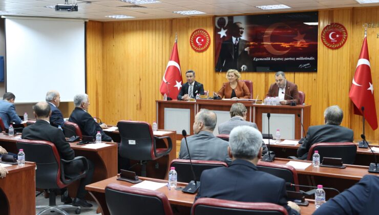 İzinsiz ağaç kesenlere büyük ceza