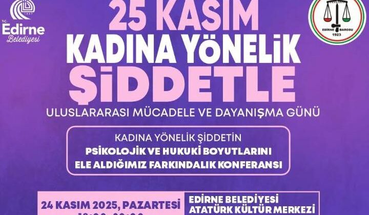 Kadına yönelik şiddetle mücadele konferansı