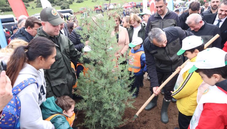 Fidanlar toprakla buluştu
