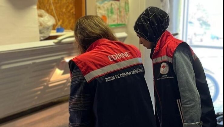 Gıda satışı yapan işletmeler denetlendi