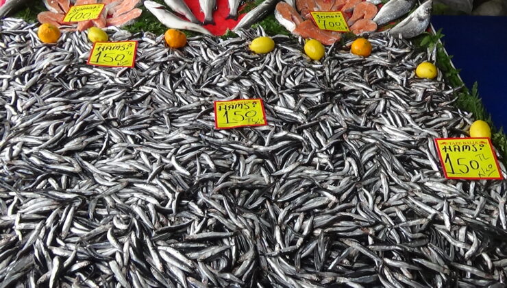 Et alamayanlar balığa yöneldi