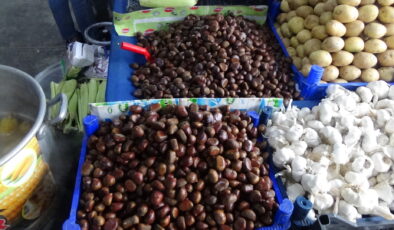 Kestane ateş pahası