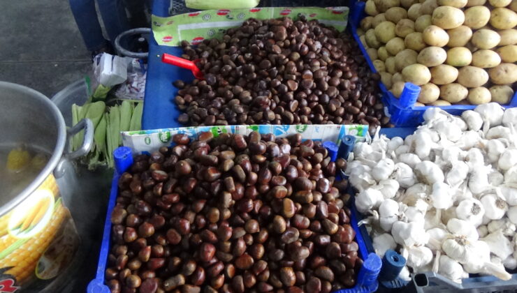 Kestane ateş pahası