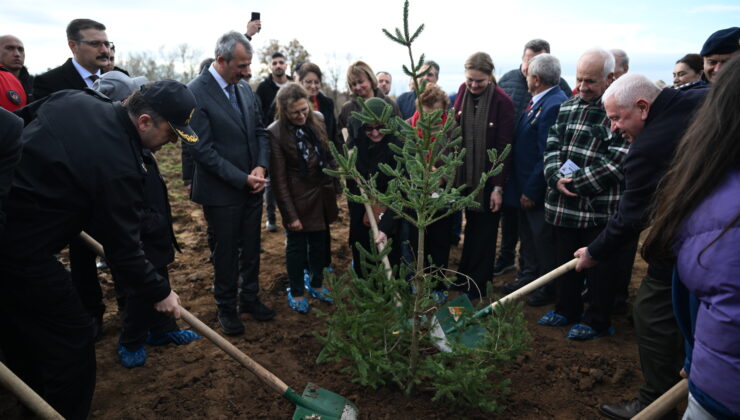 Şehitler anısına 500 fidan