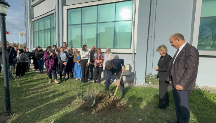 TÜ’de Zeytin Ağacı Günü kutlandı