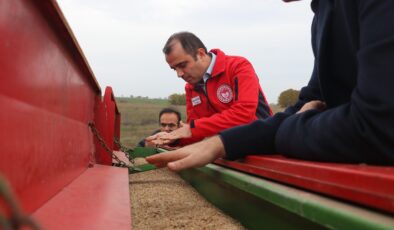 Arpaç köyüne mera otu ekildi