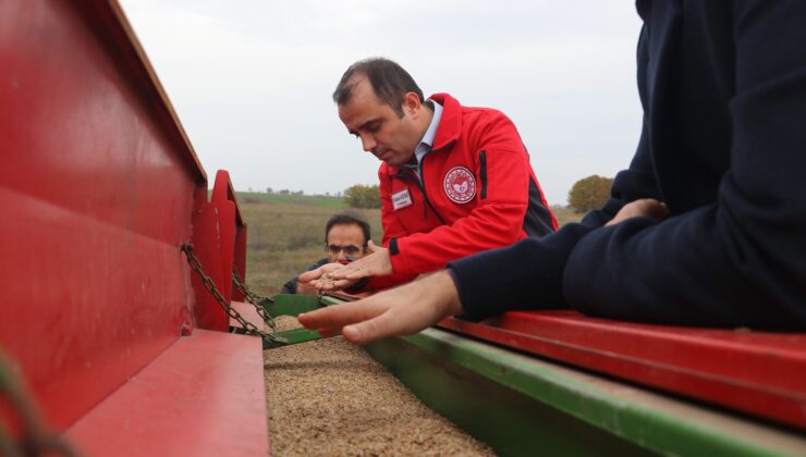 Arpaç köyüne mera otu ekildi