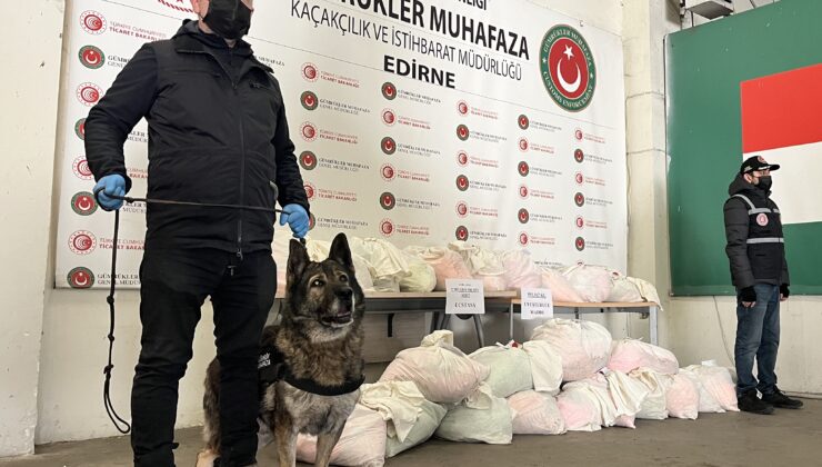 Çiçek saksılarının arasında bulundu!