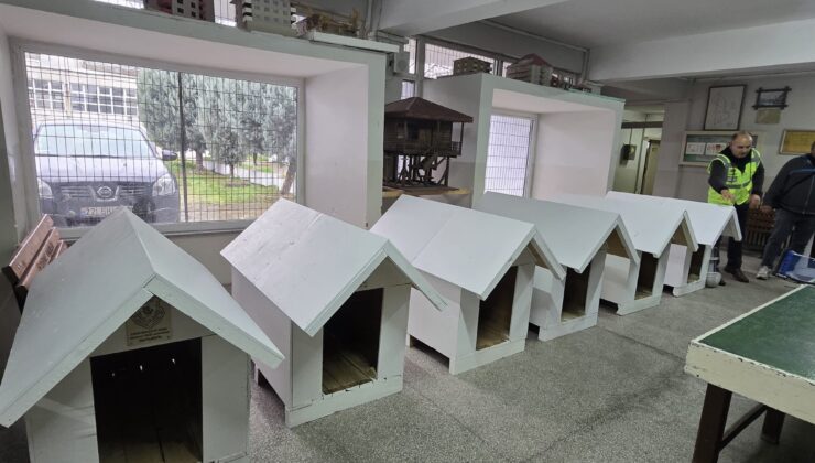 Liselilerden can dostlara kulübe