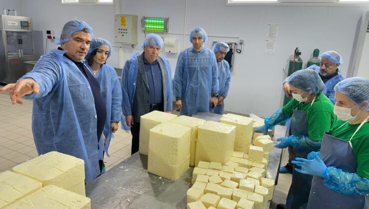 Yardımcı Peyniri’ne önemli ziyaret