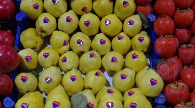 Ayvanın da tadı kaçtı