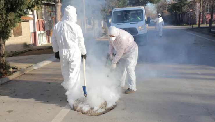 Belediyeden haşerelere karşı ilaçlama