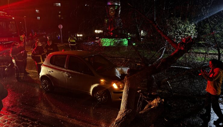 Otomobilin üzerine ağaç devrildi