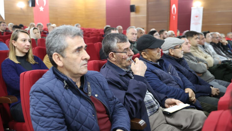 Arı ölümleri artıyor