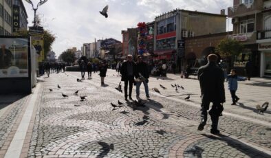 Ayazın ardı ılık hava