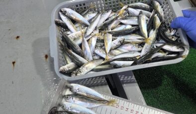 Balıkçılara ceza şoku