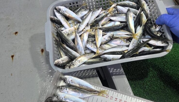 Balıkçılara ceza şoku