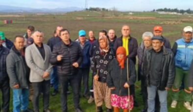 Besicilerin mera çığlığı