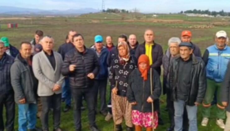 Besicilerin mera çığlığı