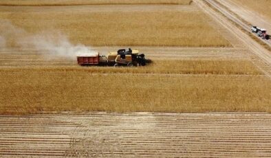 Çiftçi destekleri bugün ödeniyor