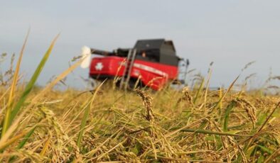 Çiftçilere hasar ödemesi