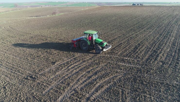 Hayvancılığa suni mera desteği