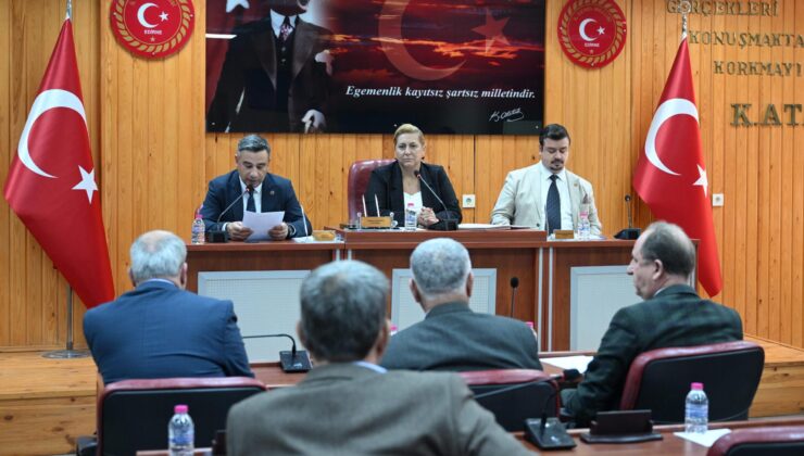 İl Genel Meclisi tam gaz