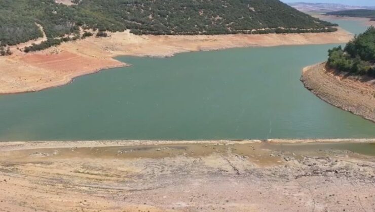 Kuraklık tarımı tehdit ediyor