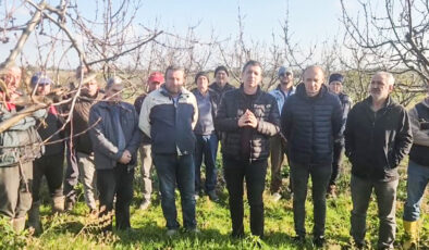 Çeribaşı Kirazı’na santral tehlikesi