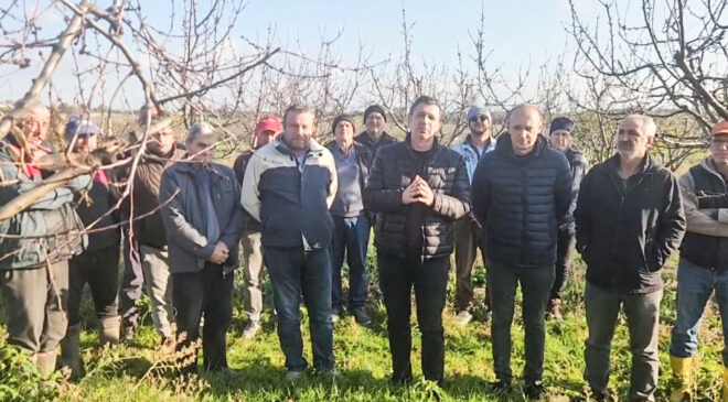 Çeribaşı Kirazı’na santral tehlikesi