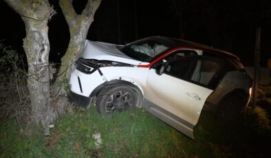 Otomobil ağaca çarptı