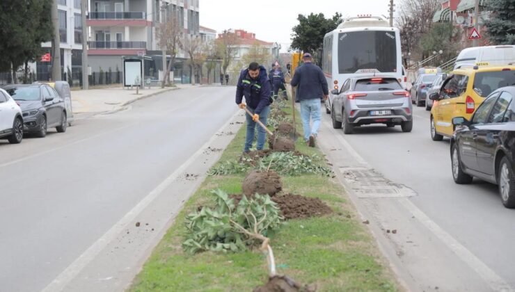 Edirne yeşerecek